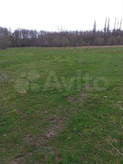 Участок 15 сот. (ИЖС)