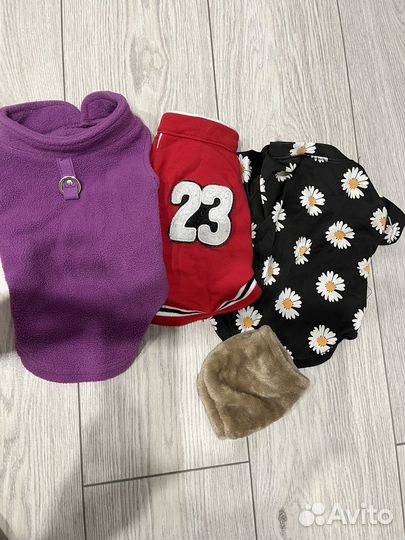 Товары для щенков и собак мелких пород