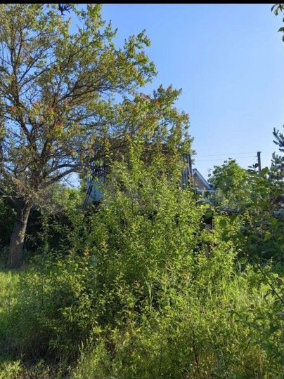 Участок 8,5 сот. (СНТ, ДНП)