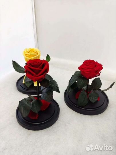 Роза в колбе оптом и в розницу