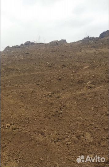 Земля плодородная. Доставка земли