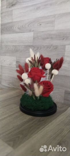 Клош стеклянный