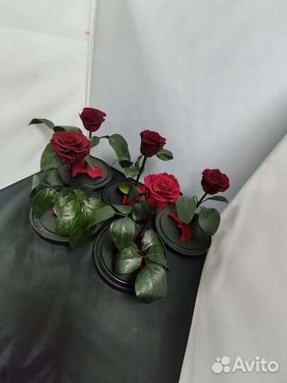 Роза в колбе оптом