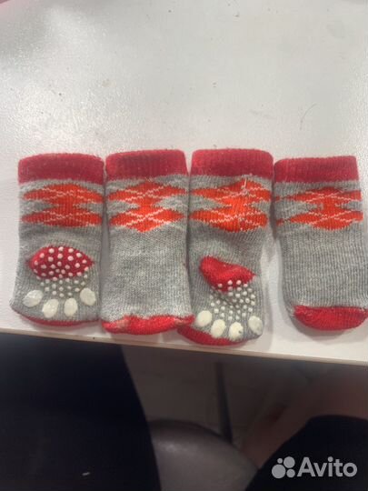 Носки для собак