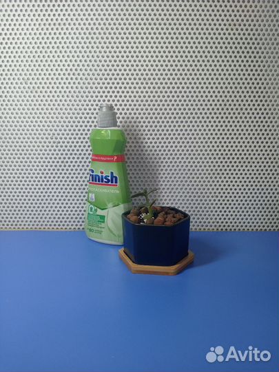 Ополаскиватель для посуды в посудомоечных машинах