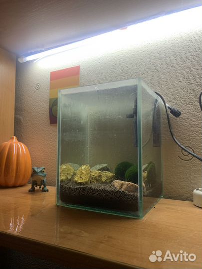 Мини аквариум