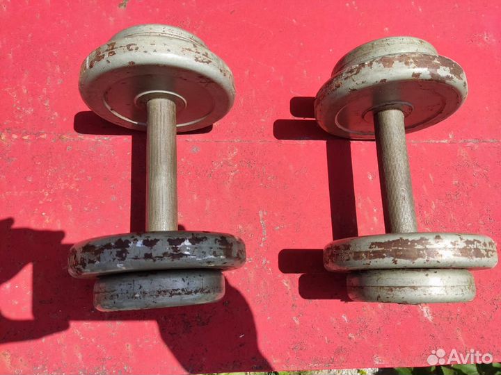 Гантели разборные