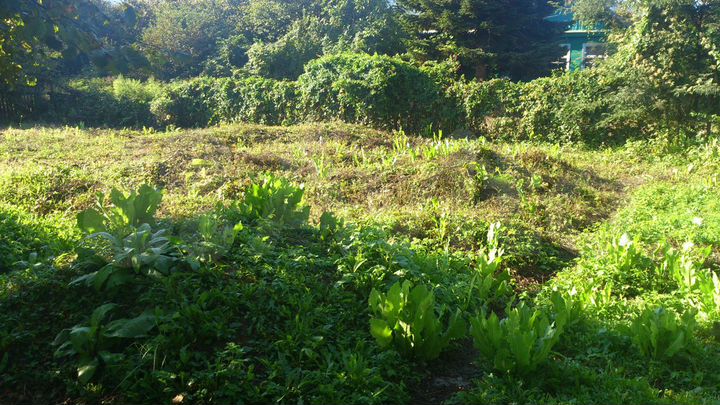 Участок 8 сот. (ИЖС)