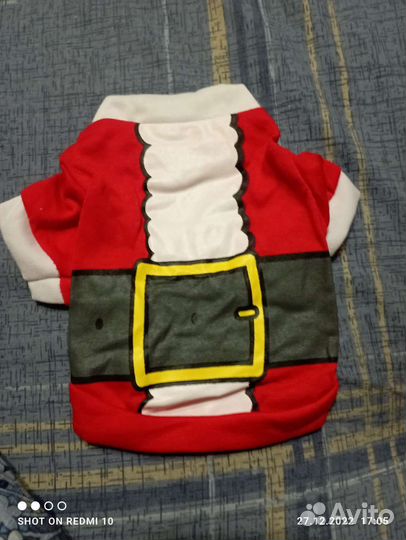 Одежда для собак
