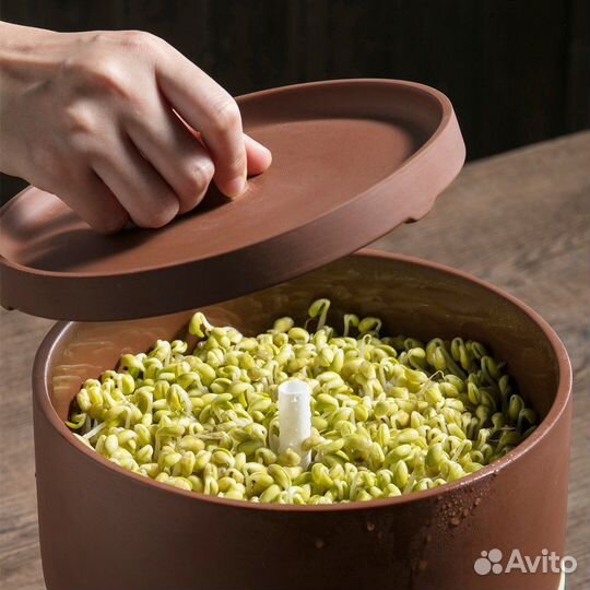 Проращиватель микрозелени с глиняной чашей