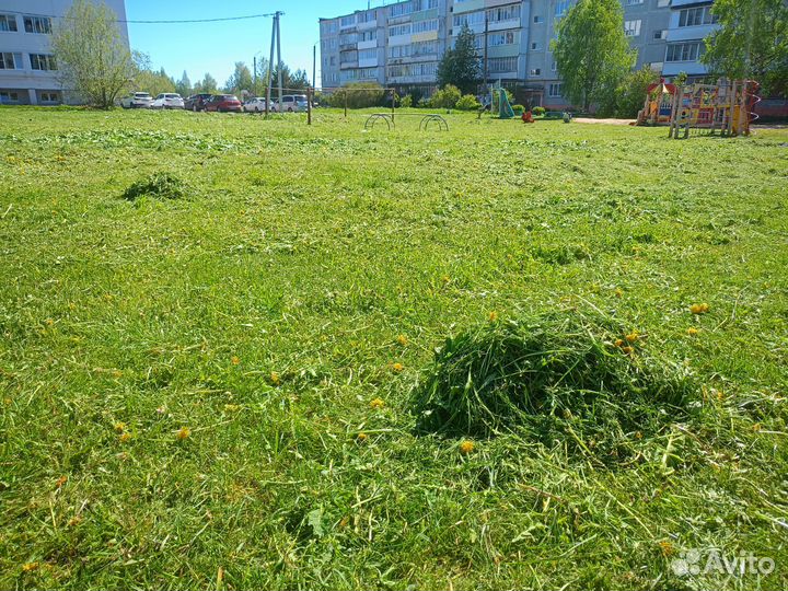 Покос травы