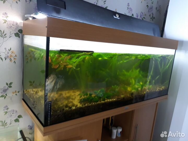 Фильтры Juwel Bioflow 3.0/M 500л/ч