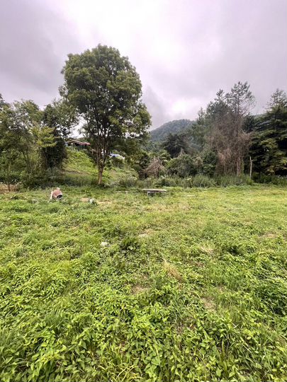 Участок 28 сот. (ИЖС)