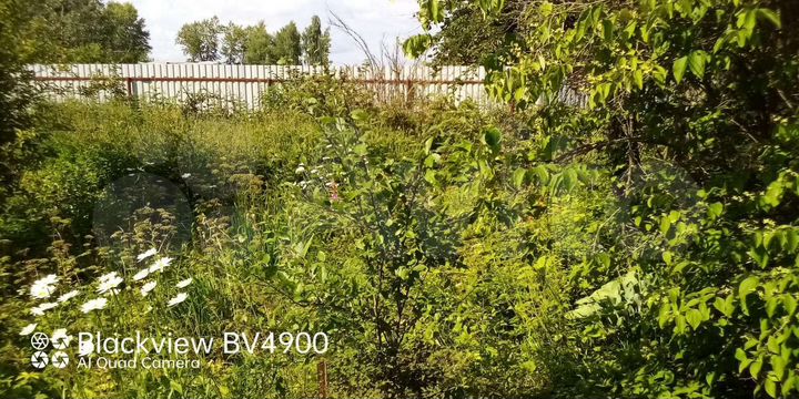 Участок 3 сот. (СНТ, ДНП)