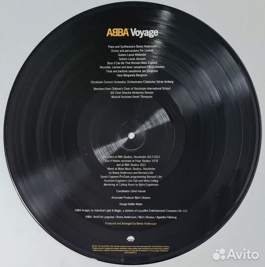 Виниловая пластинка abba - voyage (Picture Vinyl L