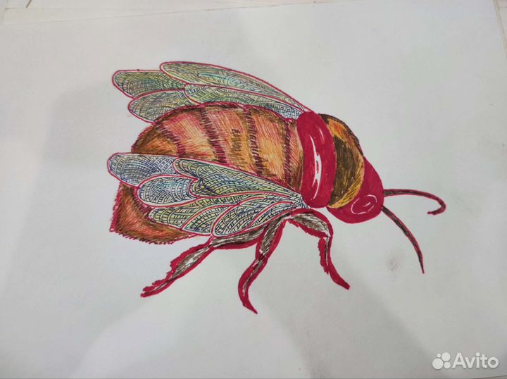 Картотека животных (старые рисунки)