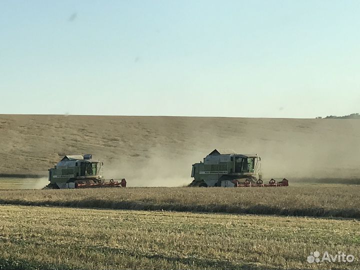 Услуги по уборке урожая зерновых