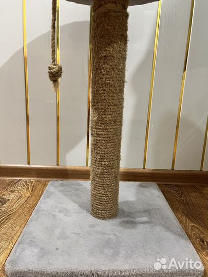 Когтеточка