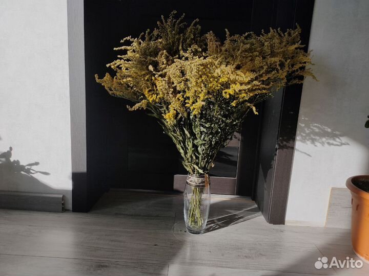 Сухоцветы букет сухой цветы в вазу мимоза