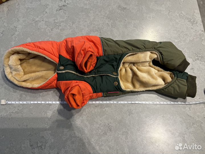 Амуниция для собак