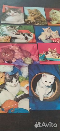 Открытки советские СССР