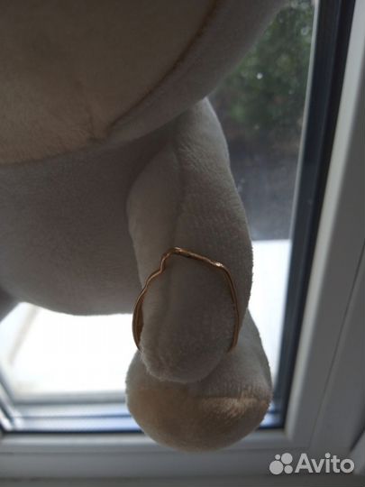 Золотое кольцо