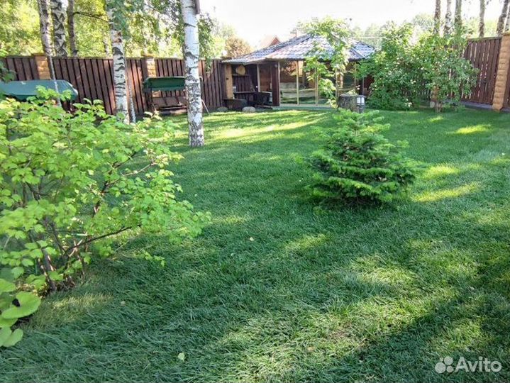 Полевой газон 