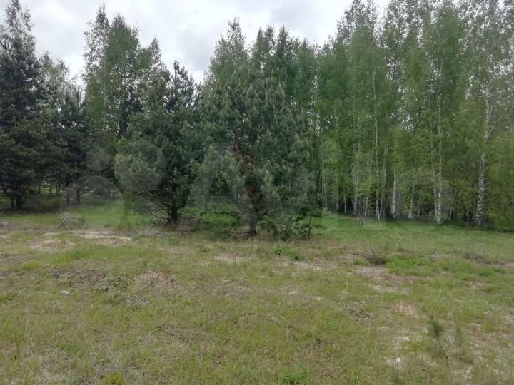 Участок 18 сот. (ИЖС)