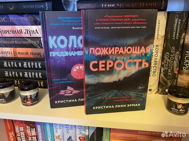 Художественная литература