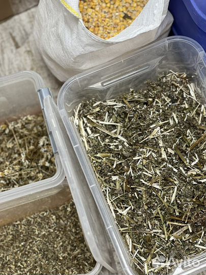 Корм для шиншилл кроликов