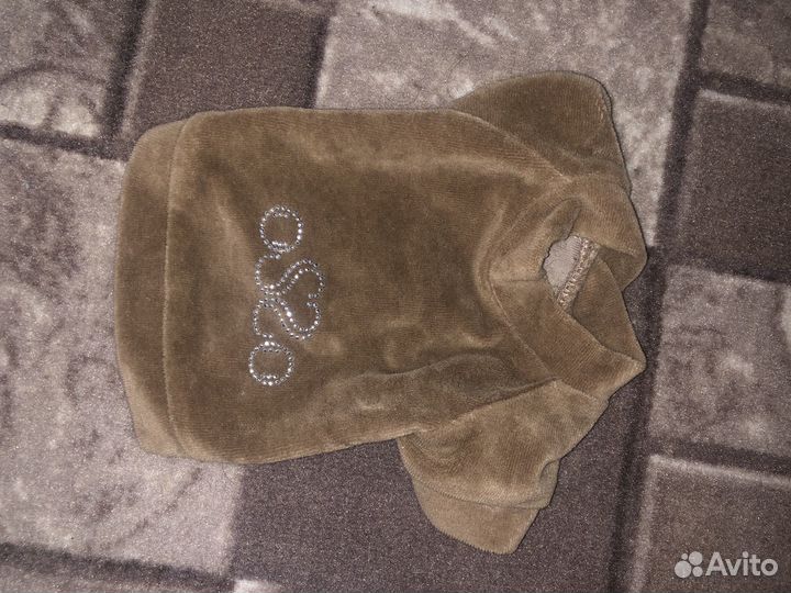 Одежда для собак