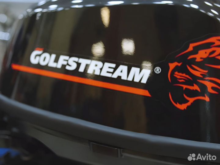 Лодочный мотор Golfstream F 20 abms