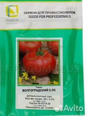 Рассада томатов