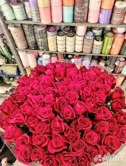 Высокие Розы Гиганты Доставка Круглосуточно