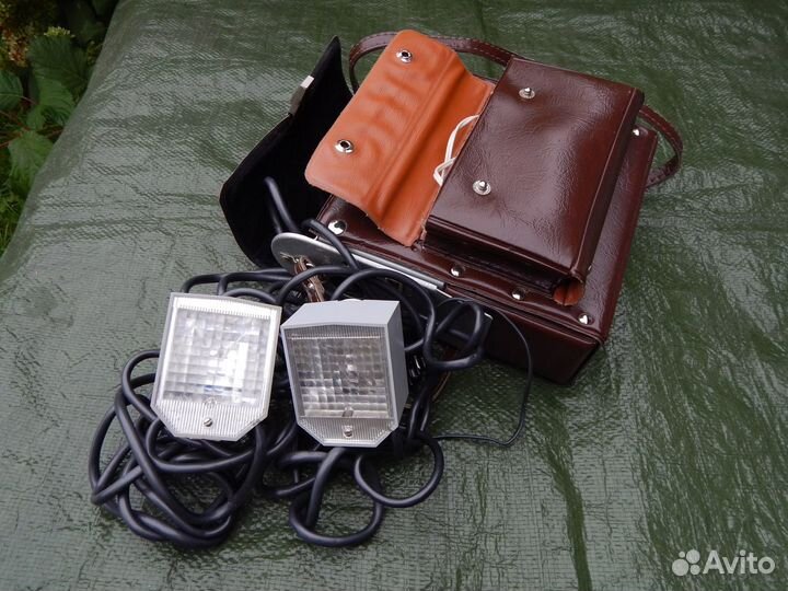 Фотовспышка чайка