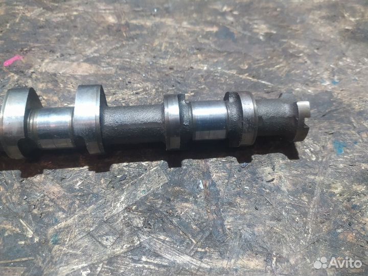 Распредвал выпускной Ford Mondeo I (1993—1996) 1, I, FD