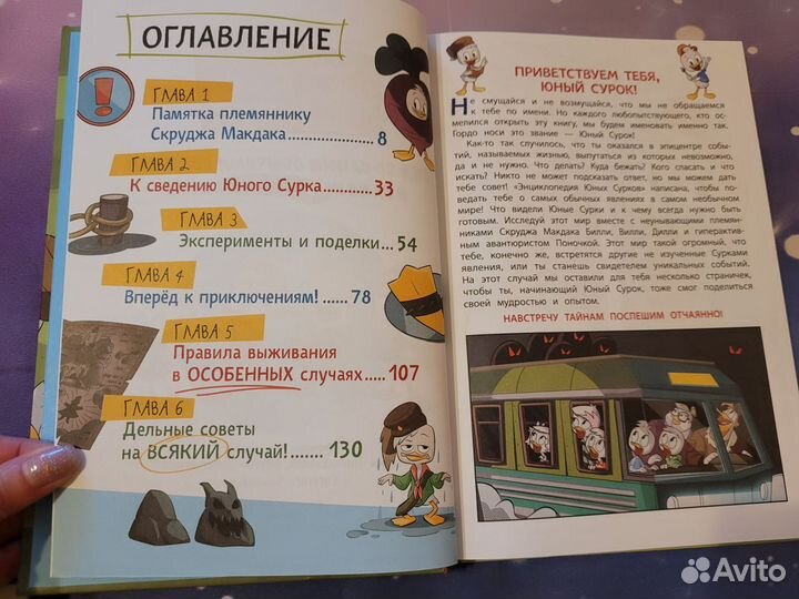 Энциклопедия Юных Сурков