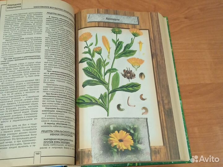 Народная медицина. А. Конев