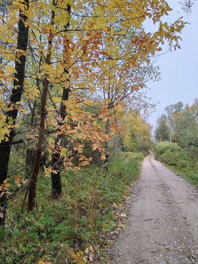 Участок 3,3 га (СНТ, ДНП)