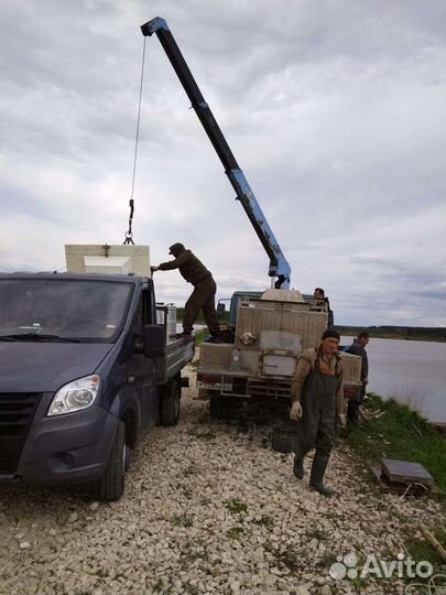 Продается живой карп