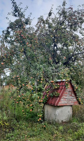 Дача 30 м² на участке 13 сот.