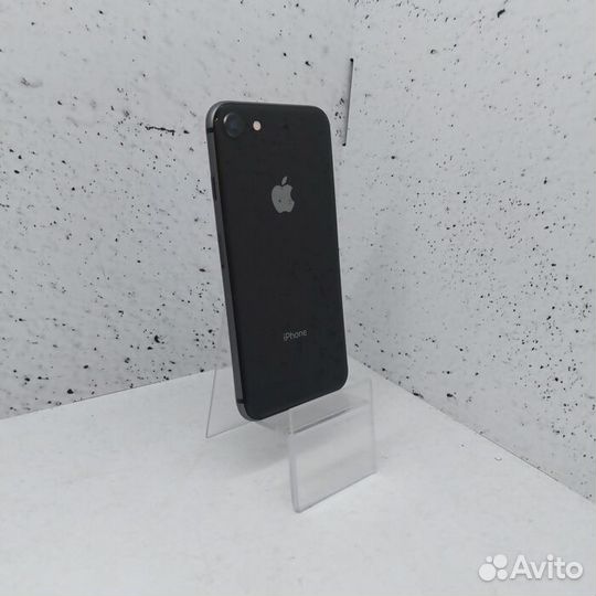 iPhone 8, 256 ГБ