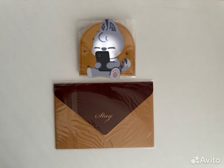 Письмо из membership Stray kids