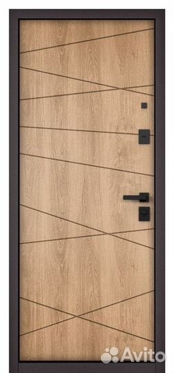 Дверь входная железная в квартиру