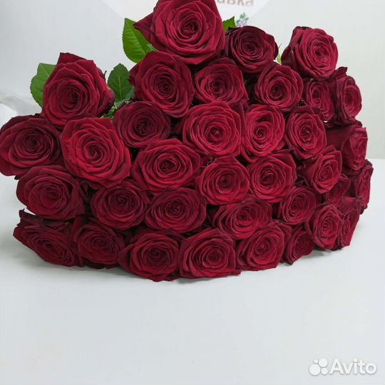 Доставка цветов. Букеты, розы. Длинные розы