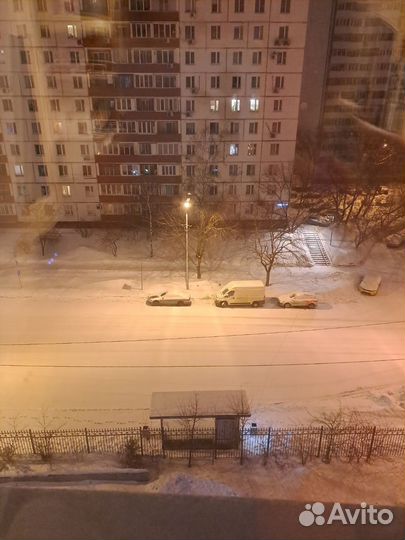 Маяк дерево