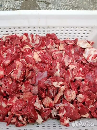 Мясо говядина котлетка