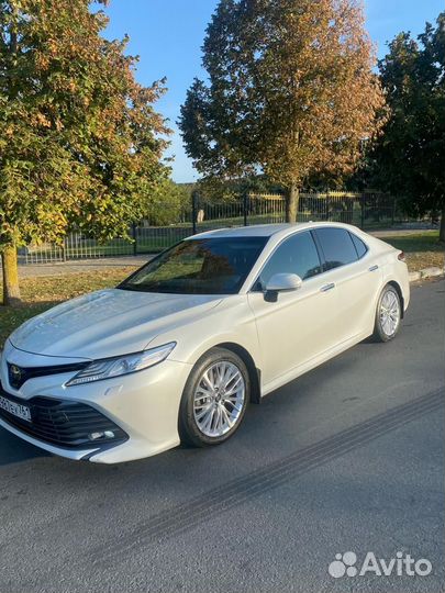 Прокат авто на свадьбу, торжество, трансфер