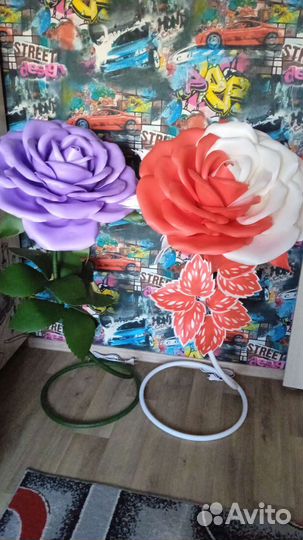 Ростовая роза ночник