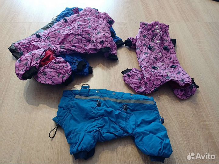 Одежда для маленьких собак